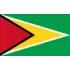 Guyana U20 Football Team Results