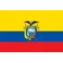 Ecuador U17 Football Team Results