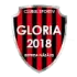 Finanțare de la CL și CJ pentru clubul de fotbal Gloria Bistrița. Ce se