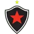 Botafogo PB Football Team Results