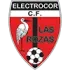 Las Rozas Football Team Results