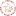 White Star Women