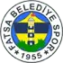 Fatsa Belediyespor Football Team Results