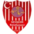 Nevsehirspor GK Football Team Results