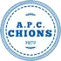 APDC Chions Football Team Results