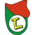 KS Lushnja Football Team Results