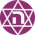 Hakoah Amidar Ramat Gan Football Team Results