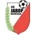 Javor Ivanjica Football Team Results