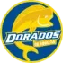 Dorados Football Team Results
