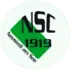 Neusiedl Football Team Results