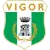 Vigor Lamezia