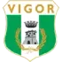 Vigor Lamezia Football Team Results