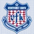 Ventforet Kofu Football Team Results