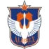Albirex Niigata Football Team Results