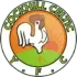 Cockhill Celtic FC Football Team Results
