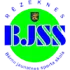Rezeknes FA Football Team Results