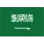 Saudi Arabia U20