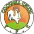 Cockhill Celtic Football Team Results