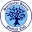 Spelthorne Sports Football Team Results