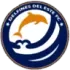 Delfines Del Este Football Team Results
