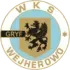 Gryf Wejherowo Football Team Results