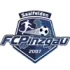 FC Pinzgau Football Team Results