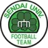 Hitome Senbonzakura FC Football Team Results