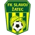 Slavoj Zatec Football Team Results