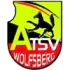 ATSV Wolfsberg Football Team Results
