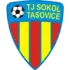 Sokol Tasovice Football Team Results