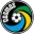 New York Cosmos Football Team Results
