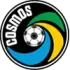 New York Cosmos Football Team Results