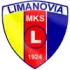 Limanovia Limanowa Football Team Results