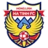 Hong Linh Ha Tinh Football Team Results
