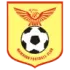 Nam Dinh U19 Football Team Results