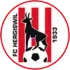 FC Hergiswil Football Team Results
