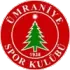 Umraniyespor Football Team Results