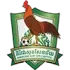 Kirivong Sok Sen Chey Football Team Results