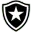 Botafogo RJ Women Football Team Results