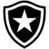 Botafogo RJ Women Football Team Results