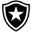 Botafogo (W) Football Team Results