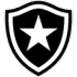 Botafogo (W) Football Team Results