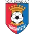 Chindia Targoviste Football Team Results