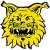 Tampereen Ilves 2