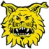 Tampereen Ilves 2 Football Team Results