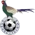 Egrisi