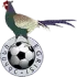 Egrisi Football Team Results