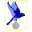 Abertillery Bluebirds Football Team Results