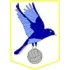 Abertillery Bluebirds Football Team Results
