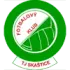 TJ Skastice Football Team Results